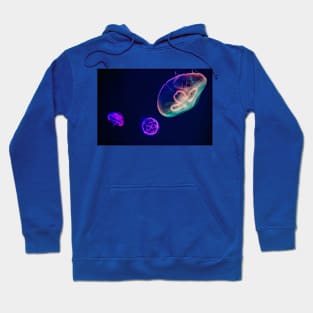 Wild life design Hoodie